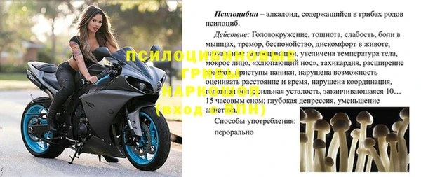 трава Лагань